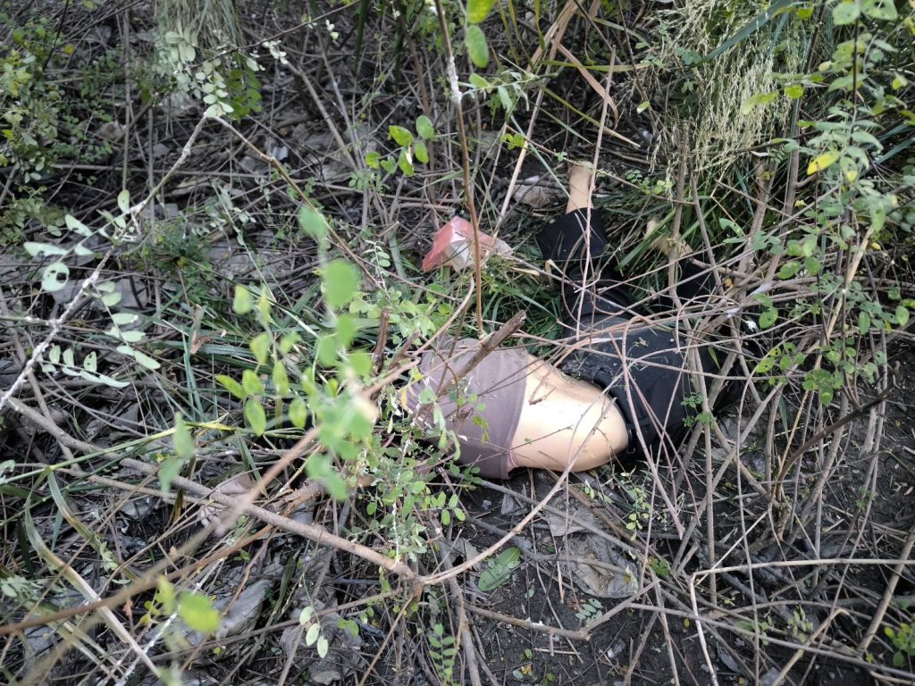 รายงานเหตุน่าสนใจ